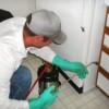 Pest Control Of West Palm Beach