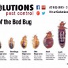 Heat Solutions Pest Control