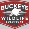 Buckeye Wildlife Solutions