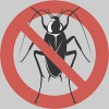 Murrieta Bug Tech Exterminators