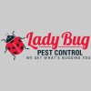 Lady Bug Pest Control