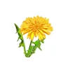 Cascade Weed & Pest Management