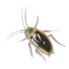 Duncan's Pest Control