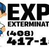 Expel Exterminators