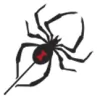 Discovery Pest Control