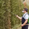 Town & Country Pest Control