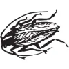 R & R Pest Control