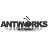 All About Ants