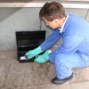 JoeBlue New Jersey Pest Control