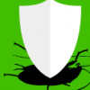 Southland Pest Solutions