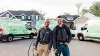 Hornet & Wasp Control Service